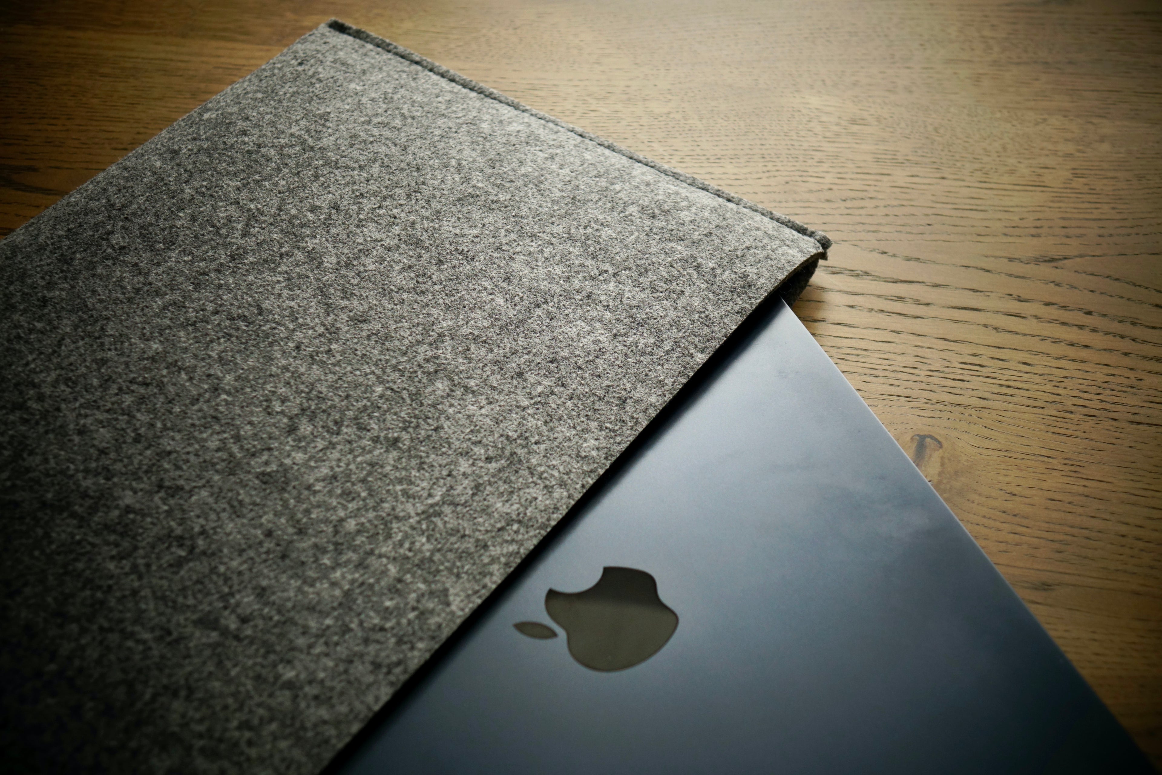 MacBook-Hülle ZIP (GRAU)